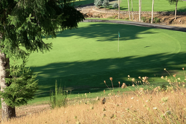 wildwood golf course